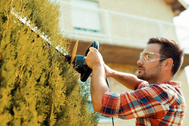 Step by step guide of Moss removal​