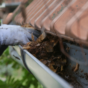 gutter cleaning service