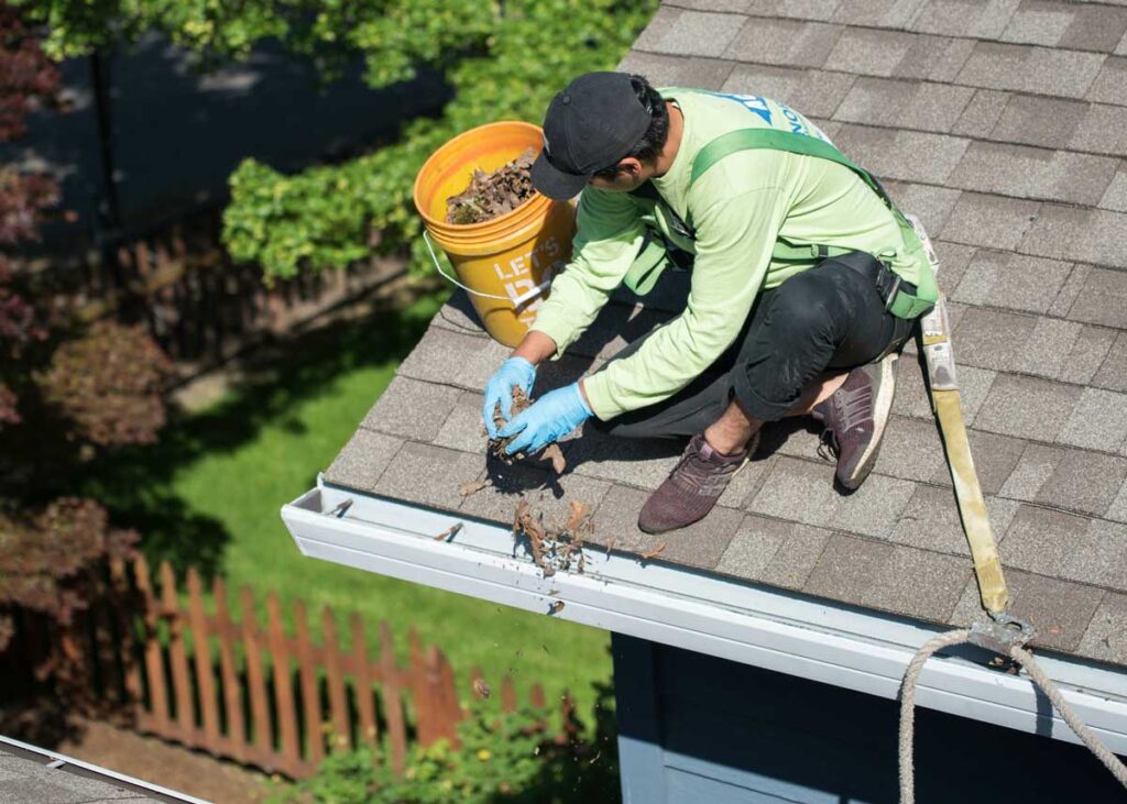 Clean Gutters
