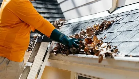 Clean Gutters