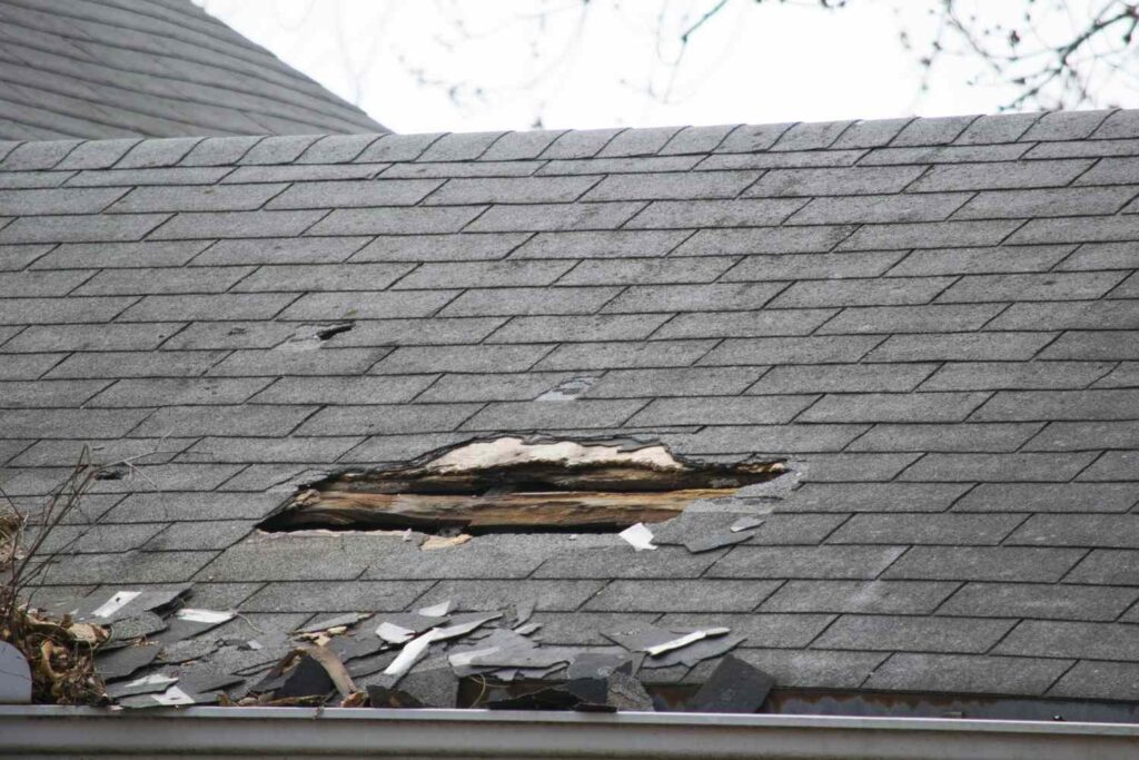 Roofing Problems