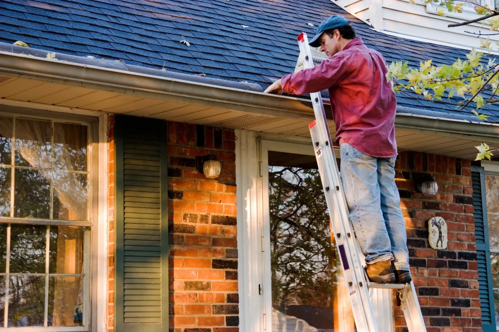 Gutter Services