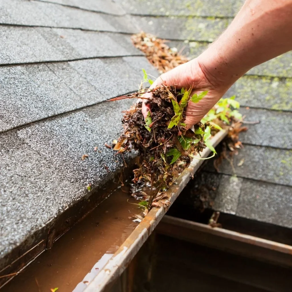 Gutter Cleaning and Repair