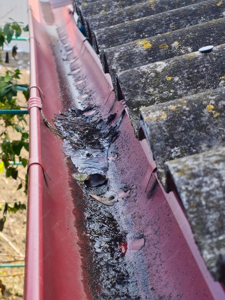Gutter Cleaning