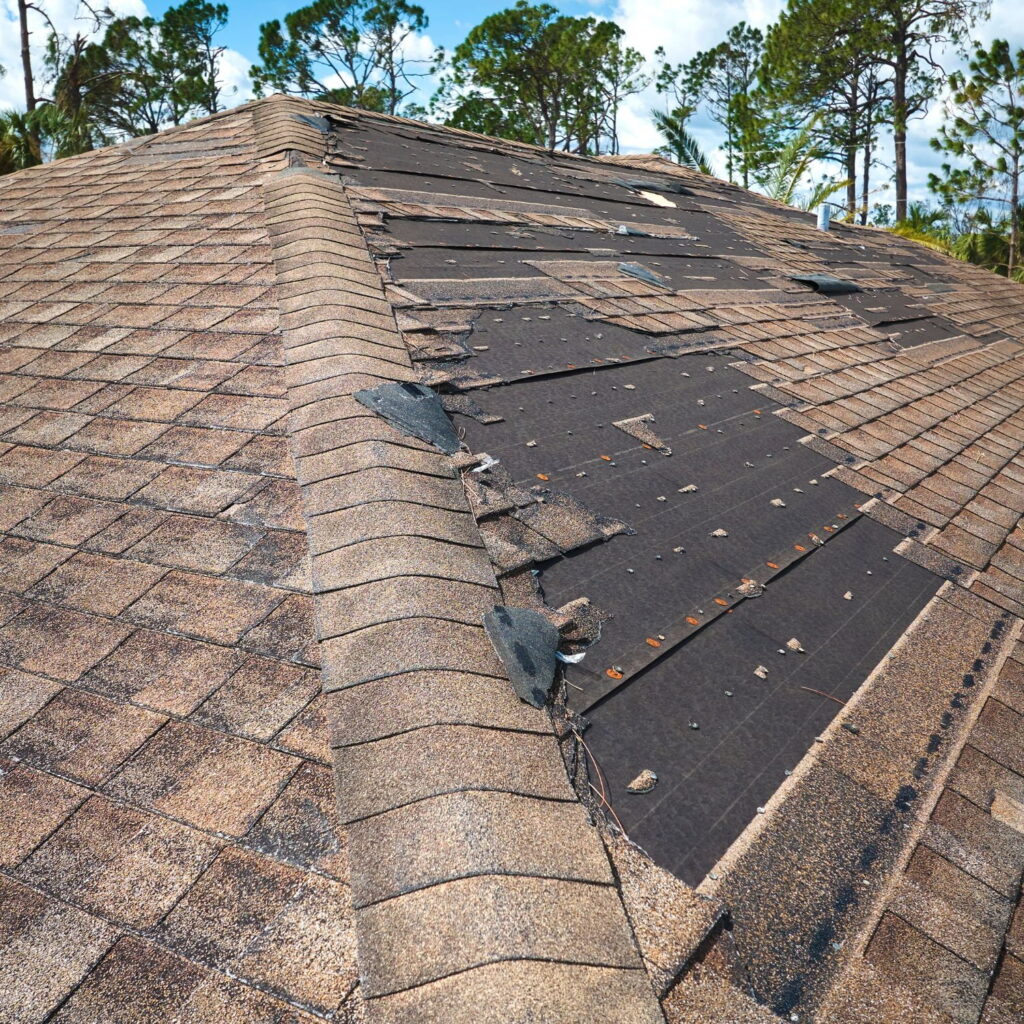 Horsforth Roofs