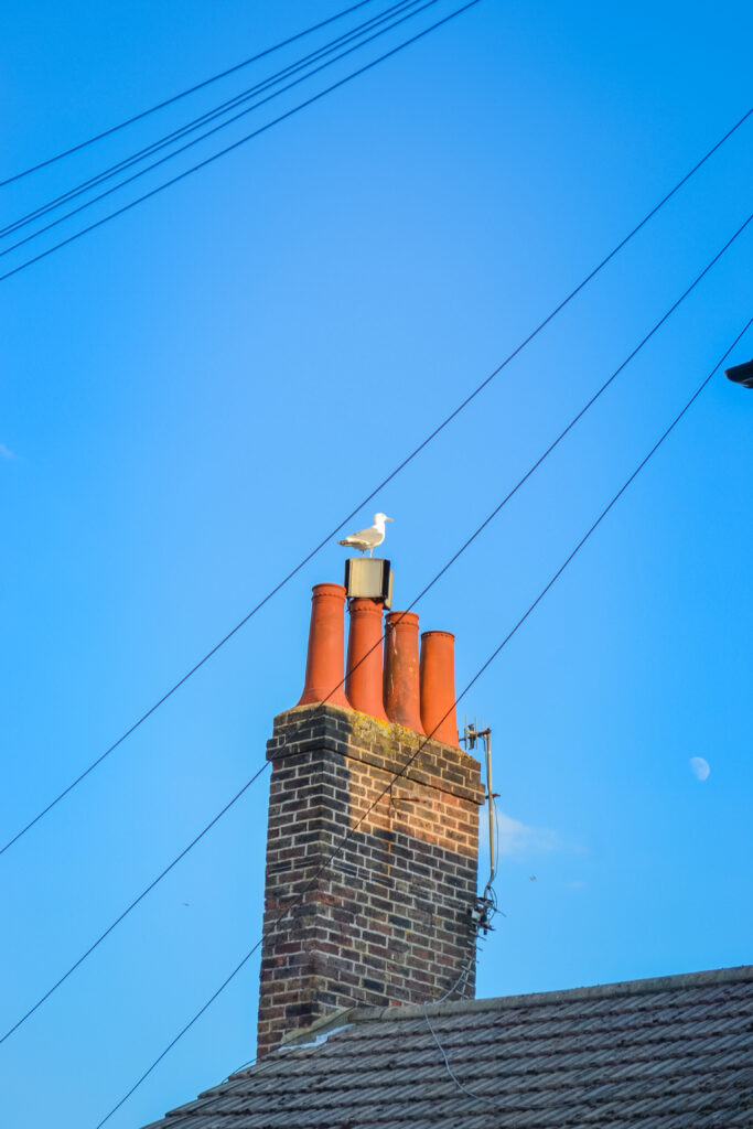 Chimney Repairs