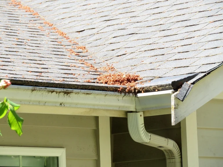 gutter service